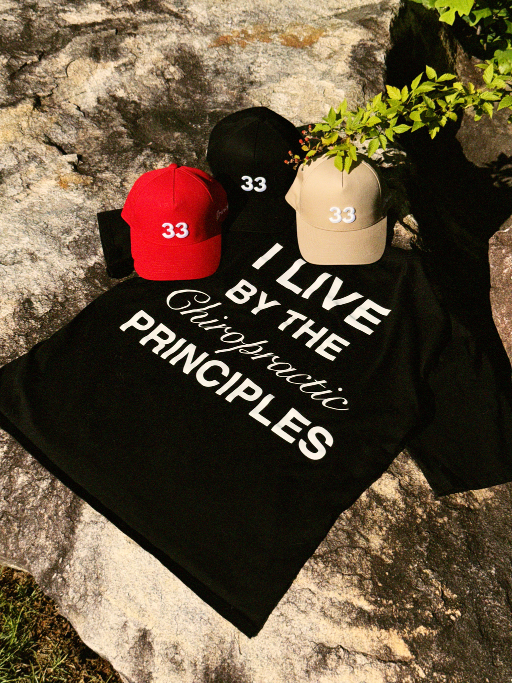 "I live by the Chiropractic Principles"